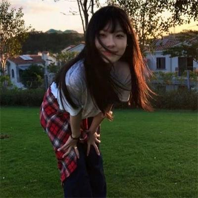 挚爱极地